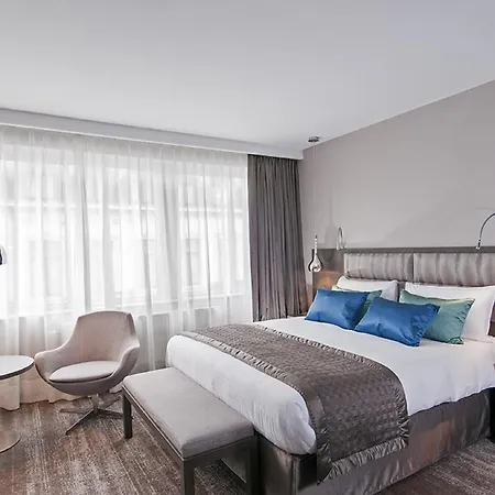 アジェンダ ルイーズ