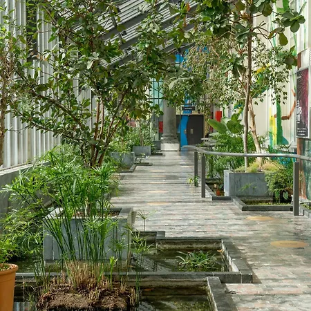 The Captaincy Bruselas