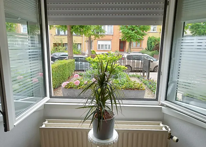 The Brussels-laken * Bruxelas