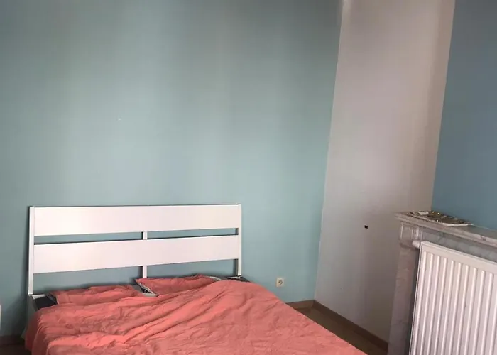 Maison Partagee Cle Rouge * Bryssel