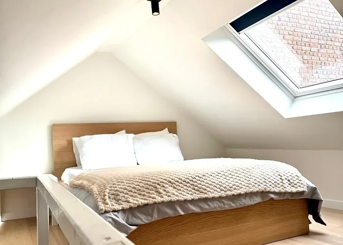 My Haus European Commision *