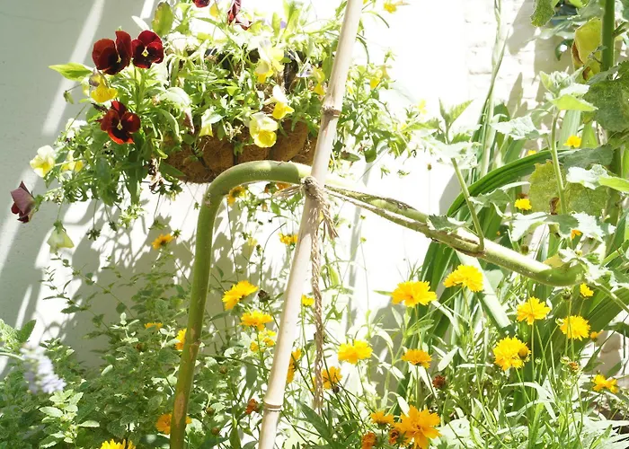 The Captaincy Szálloda