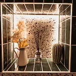 Golden Dove Luxury *