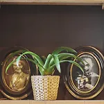 The Legacy By 2go4 Center *