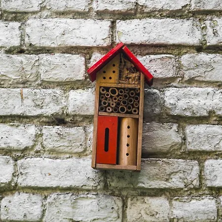 Chatelain Charming Studio Appartement Brussel