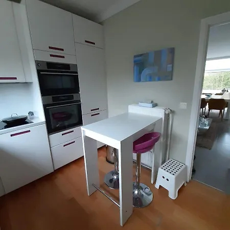 Magnifique Appartement- Expo Laeken Apartament