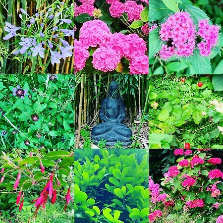 Apartment Bijou > Parvis St Pierre