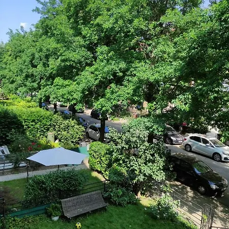 The Brussels-laken *