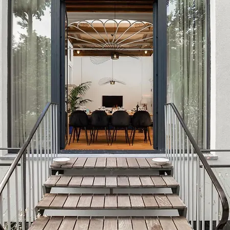 Sweett - Saint Bernard Brusel