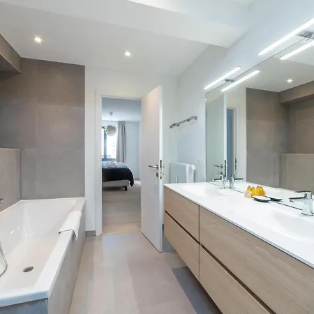 Sweett - Saint Bernard