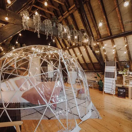 Cocoon *