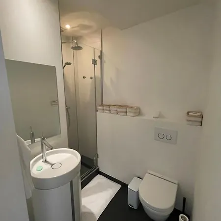 Apartament In Trendy Chatelain Center Area Little Garden Internet Wifi Bruksela