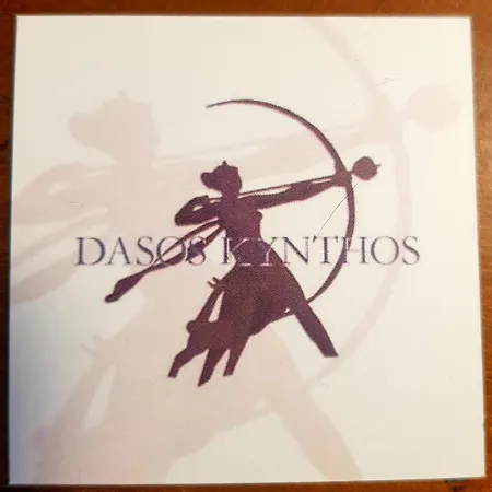 Dasos Kynthos Guest house