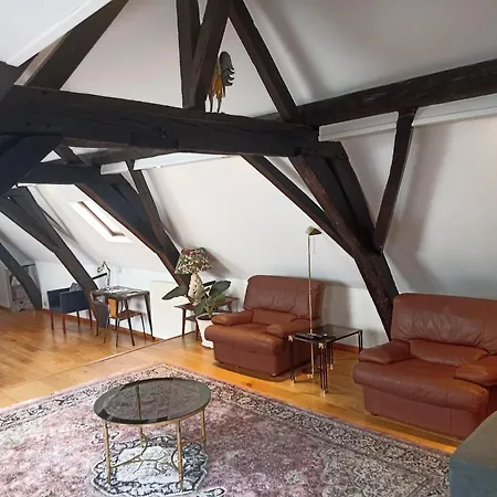 Spacious Duplex In Historical Center Apartamento Bruselas