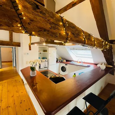 Apartment Down Town Spacious Loft With Private Parking *