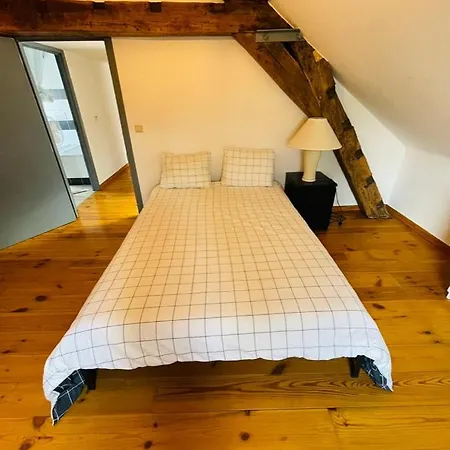 Down Town Spacious Loft With Private Parking *