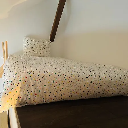 Down Town Spacious Loft With Private Parking Brussels