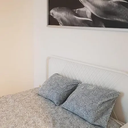 B44 * Bruxelles