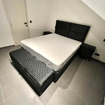 Brand-new In The Heart Of *