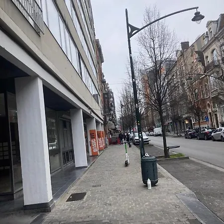 European Brussels