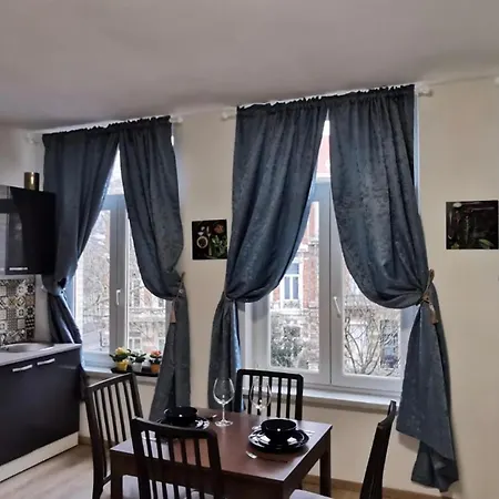Charming Europarlament Resedence Appartement Brussel