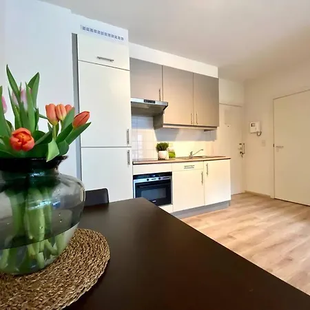 Appartement Hypercentre *