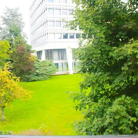 Story' Bruselas