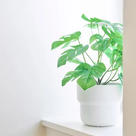 Apartamento Place Du Grand Sablon