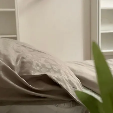 Hotel Logement Entier 2 Chambres Centre Brussels