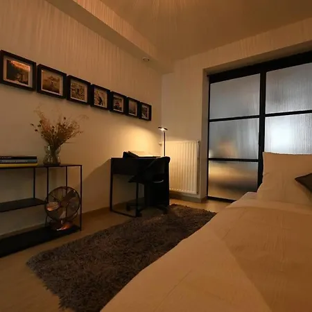 Superb 3 Bedroom & 3 Bathroom Duplex In Centre Appartement Brussel