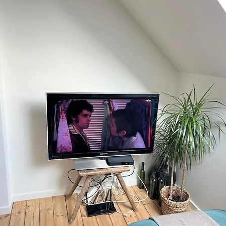 Cosy Nest