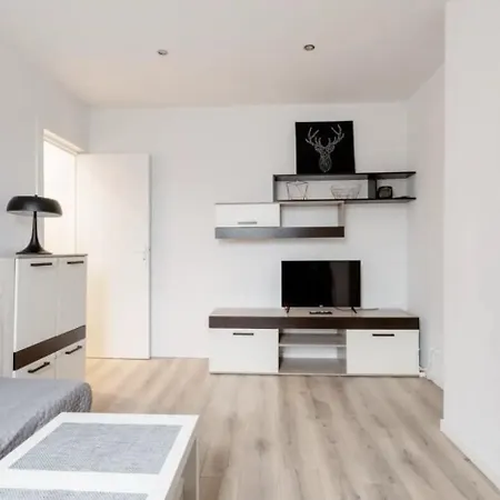Beautiful Fully Renovated Bruxelles