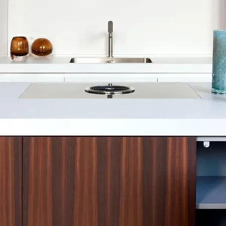 Apartman Downtown Splendor V *