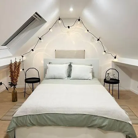 Magnifique Duplex Brussels