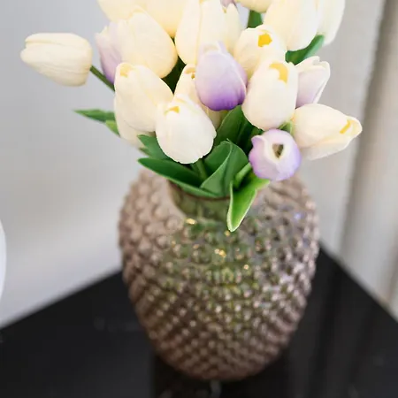 Dans L'hypercentre * Bruksela