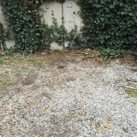 Cozy & Comfy House In Forest!