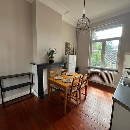 Cozy Ixelles *
