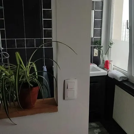 Charming In Etterbeek 70 M² With Balcony Appartement Bruxelles