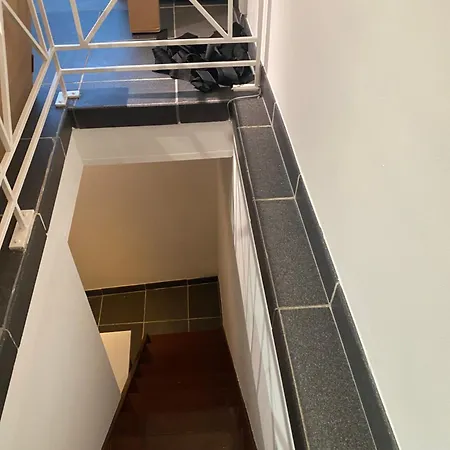 Fly Forest Rez Jardin Bruxelles