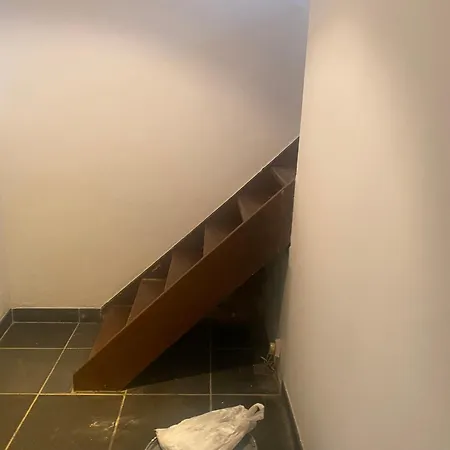 Fly Forest Rez Jardin Gæstehus