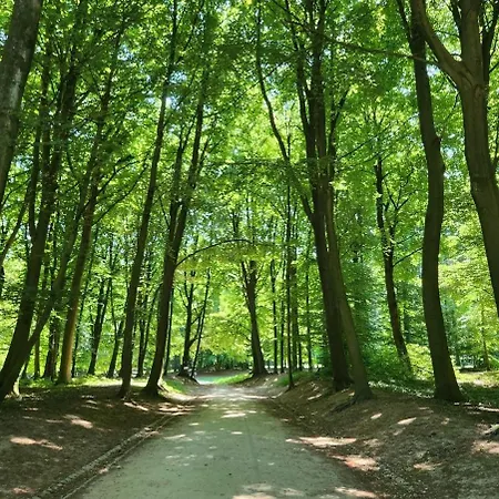 Appartement Penthouse Lumineux Avec Grande Terrasse De 40m2
