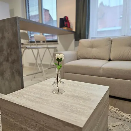 Apartment With Terrace