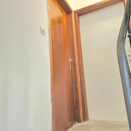 Charming Jambo * Brussels