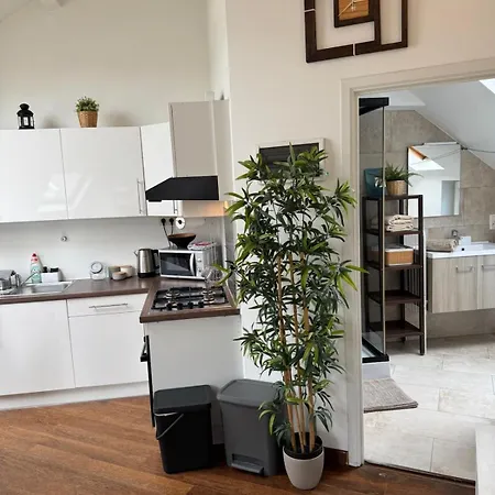 Historical Centre In The Heart Of * Bruselas