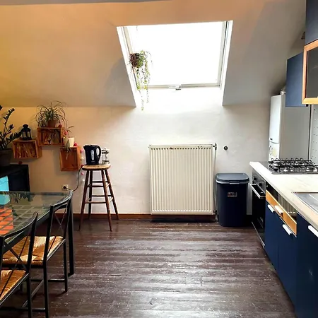 Cozy Duplex A Saint-gilles