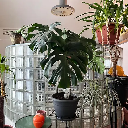 Loft Atelier Au Style Vintage Appartement Bruxelles