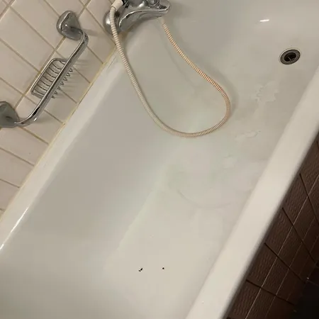Apartment Gm *