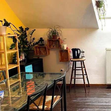 Apartment Cozy Duplex A Saint-gilles Brussels