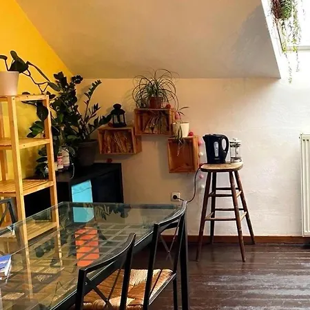 Cozy Duplex A Saint-gilles Apartment