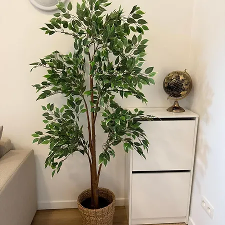 Cozy South-up And Ground Appartement